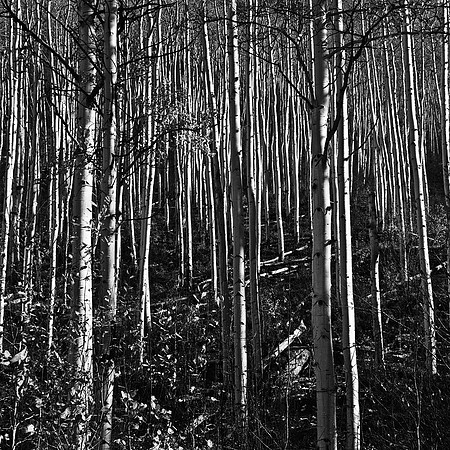 6098_FM_BW_INDEPENDENCE_CO_05_4.jpg