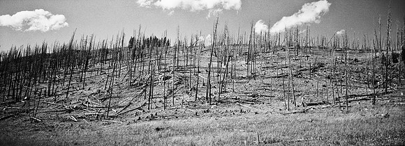 7551_FM_BW_XPAND_AZ_01_19.jpg