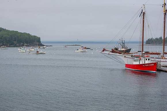 20060627_Maine_ZV4N0992