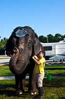 42586_Miami_Brickell_Circus_FL_20080816_IMG_3897