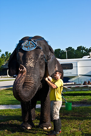 42586_Miami_Brickell_Circus_FL_20080816_IMG_3897
