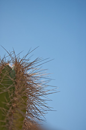 0031_La_Arizona_5L8Y5601