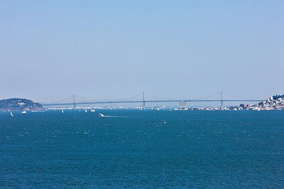 0026_DG_San_Francisco_Bay_CA_USA_2009_5L8Y1949