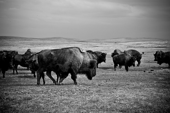 0044_North_Dacota_Fargo_to_South_Rapid_City_TO_CHEYENNE_5L8Y4175