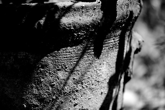 36193_DG_BW_North_America_MexicoZV4N5055