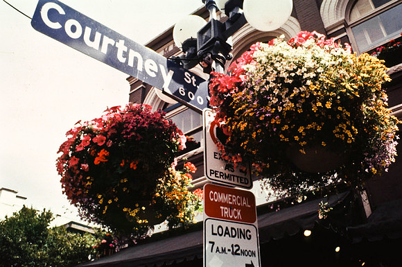 2545_SL_BOX_I_COLOR_OVKA_VICTORIA_CANADA_19
