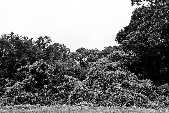 0014_DG_Perry_GA_USA_2009_5L8Y0338