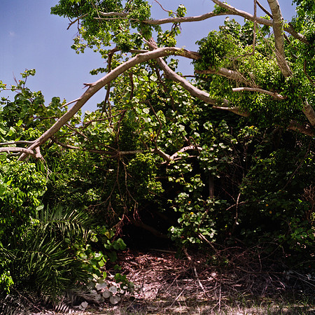 6006_FM_COLOR_AK_05_8.jpg