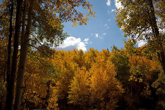 20080829_DVD15_DG_USA_Aspen_2159_full_blead