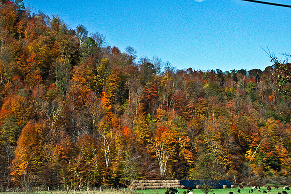 0336_FM_COLOR_MINESOTA_99_11.jpg
