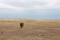 0044_North_Dacota_Fargo_to_South_Rapid_City_TO_CHEYENNE_5L8Y4162