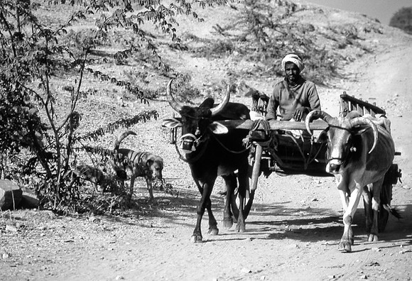 47271_SL_COLOR_INDIA_1987