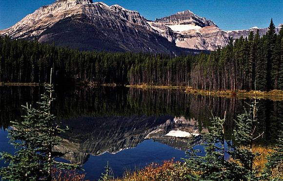 06831_B19_SL_COLOR_PEYTO_LAKE_FROM_THE_BOW_SUMMIT_TRAIL_BANFF_NAT_PARK_BC_WS_97_06.jpg