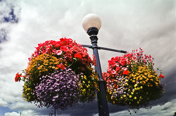2546_SL_BOX_I_COLOR_OVKA_VICTORIA_CANADA_7