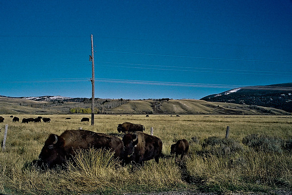 6087_FM_COLOR_ASPEN_TO_INDEPENDENT_CO_05_20.jpg