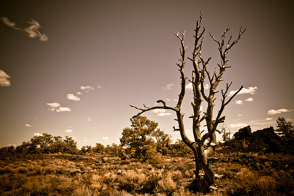 0020_Wyonming_To_Ketchem_Sun_Valley_ID_5L8Y7817