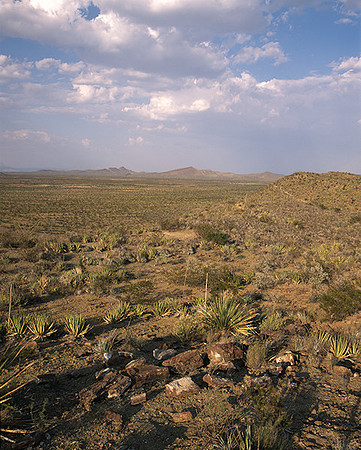 4000_20080719_ADS_Mexican_Landscape_Mexico_103