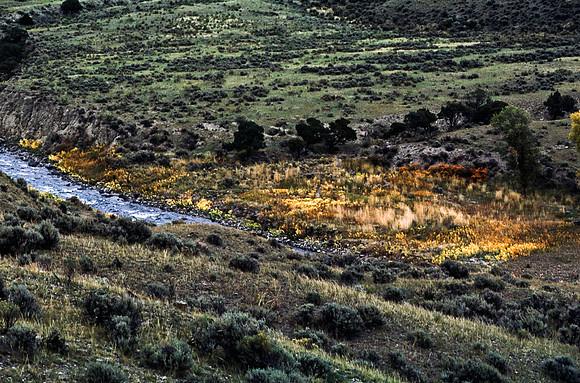 47653_B11_SL_COLOR_ENTRANCE_YELLOWSTONE_WY_97_08.jpg