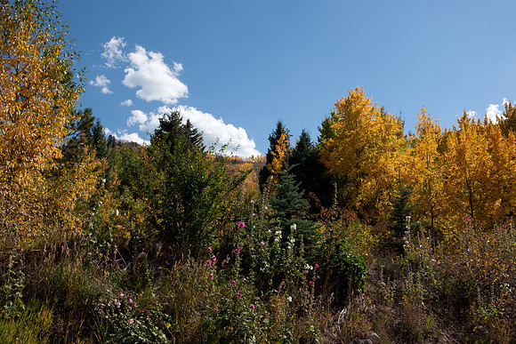 20080830_DVD14_DG_USA_Aspen_2388_full_blead