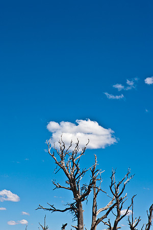 0020_Wyonming_To_Ketchem_Sun_Valley_ID_5L8Y7780