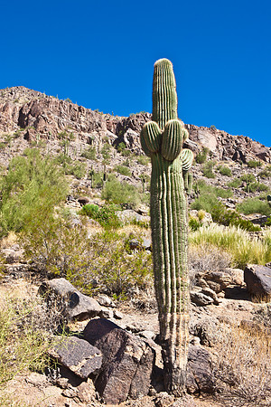0031_La_Arizona_5L8Y5436