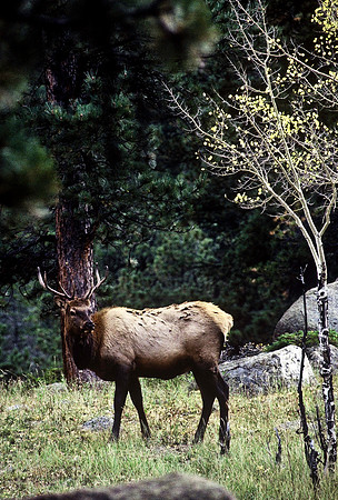 47499_B7_SL_COLOR_HOT_SULPHUR_SPRINGS_HWY40_CO_97_04.jpg