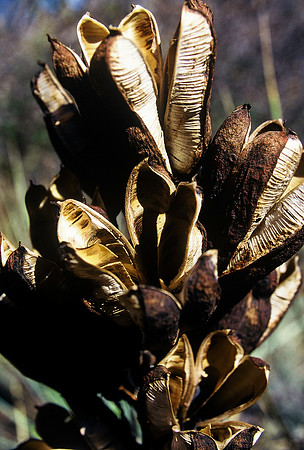 47509_B7_SL_COLOR_CRIPPLE_CREEK_HWY7_CO_97_06.jpg