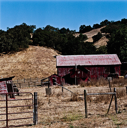 6035_FILM_COLOR_SAN_LOUIS_05_USA_CA_9.jpg