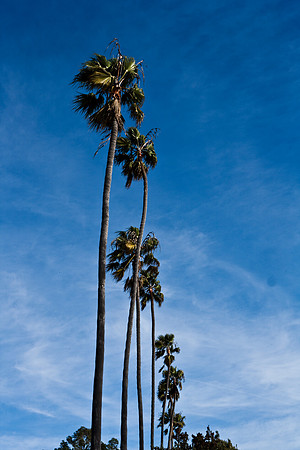 36409_DG_CALIFORNIA_USA_2007_ZV4N_0631