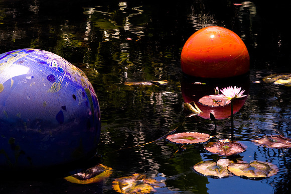 84775_DSC_0103_Fairchild_Garden_Miami_FL_USA