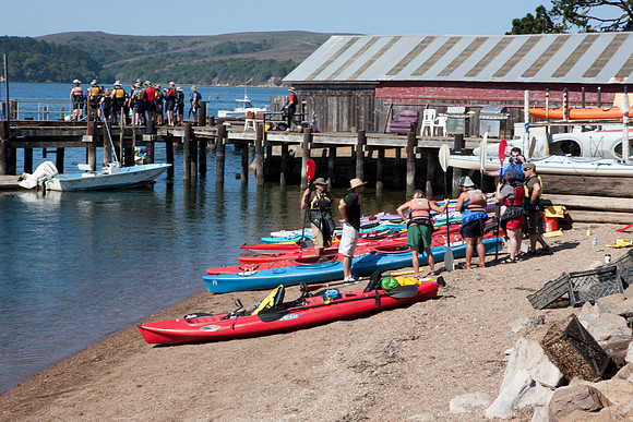 0026_DG_Marchall_Tomales_Bay_CA_USA_2009_5L8Y1684