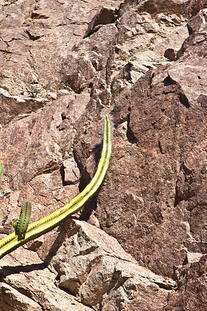 0031_La_Arizona_5L8Y5494