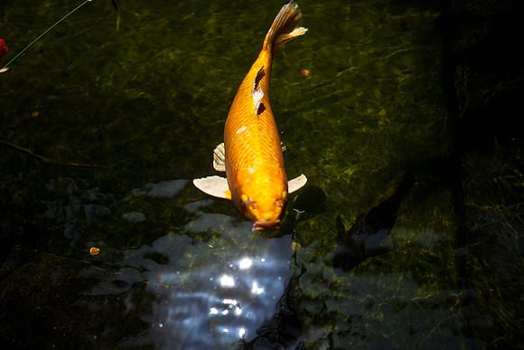 2905_DG_Bal_Harbor_Shops_Maimi_FL20090426-5L8Y6820