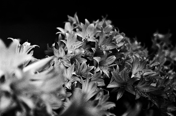 6040_FM_BW_BODEGA_BAY_CA_05.jpg