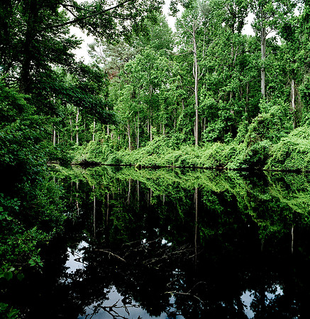 7820_FILM_COLOR_LR_STONINGTON_USA_CT_9.jpg