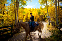 20080829_DVD15_DG_USA_Aspen_2158_full_blead
