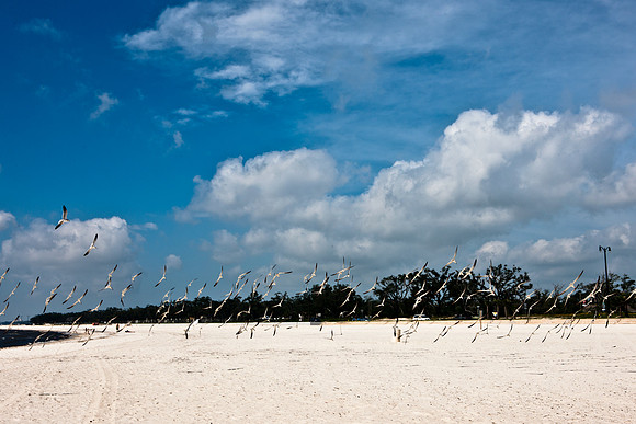 0036-NEW_ORLEANS_TO_PANAMA_CITY_BEACH_5L8Y1139