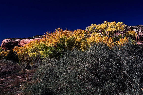 06785_B10_SL_COLOR_MOAB_TO_CHURCH_ROCK_HWY191_TO_HOLE_THE_ROCK_UT_97_04.jpg