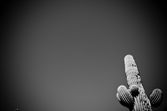 0031_La_Arizona_5L8Y5441