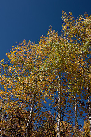 20080829_DVD15_DG_USA_Aspen_2143_full_blead