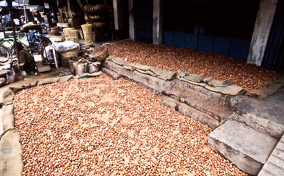 3483_SL_COLOR_AROUND_THE_WORLD_IN_8_MONTHS_APRIL_2000