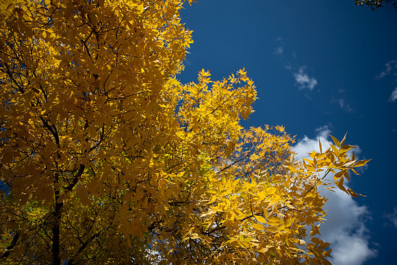 20080829_DVD15_DG_USA_Aspen_2238_full_blead