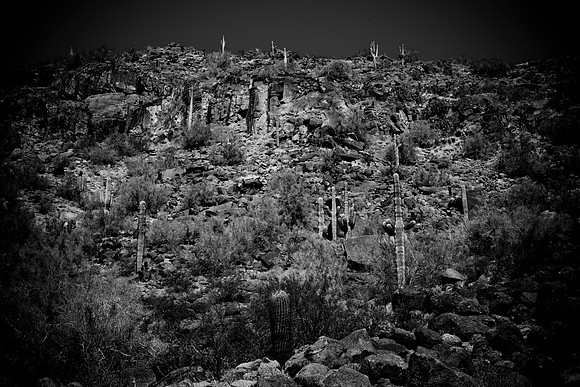 0031_La_Arizona_5L8Y5557