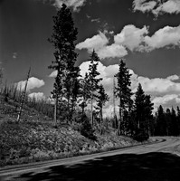 7549_B3P1_8_BW_SQ_MT_01_4.jpg