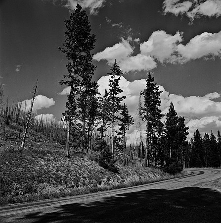 7549_B3P1_8_BW_SQ_MT_01_4.jpg