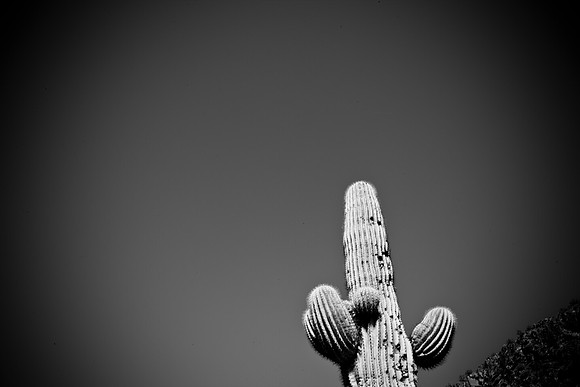 0031_La_Arizona_5L8Y5439