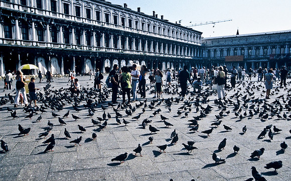 3822_SL_COLOR_AROUND_THE_WORLD_IN_8_MONTHS_APRIL_2000_7