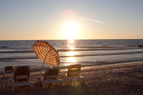 20081026_DVD80_DG_USA_Sarasota_FL_5L8Y1009_full_blead