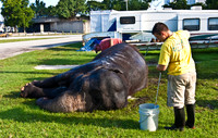 42588_Circus_Miami__Park__IMG_6394