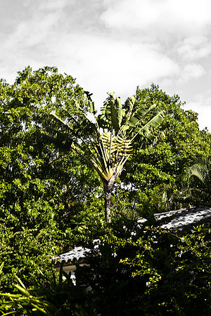 0042_DG_Fisher_Island_Miami_FL5L8Y1827